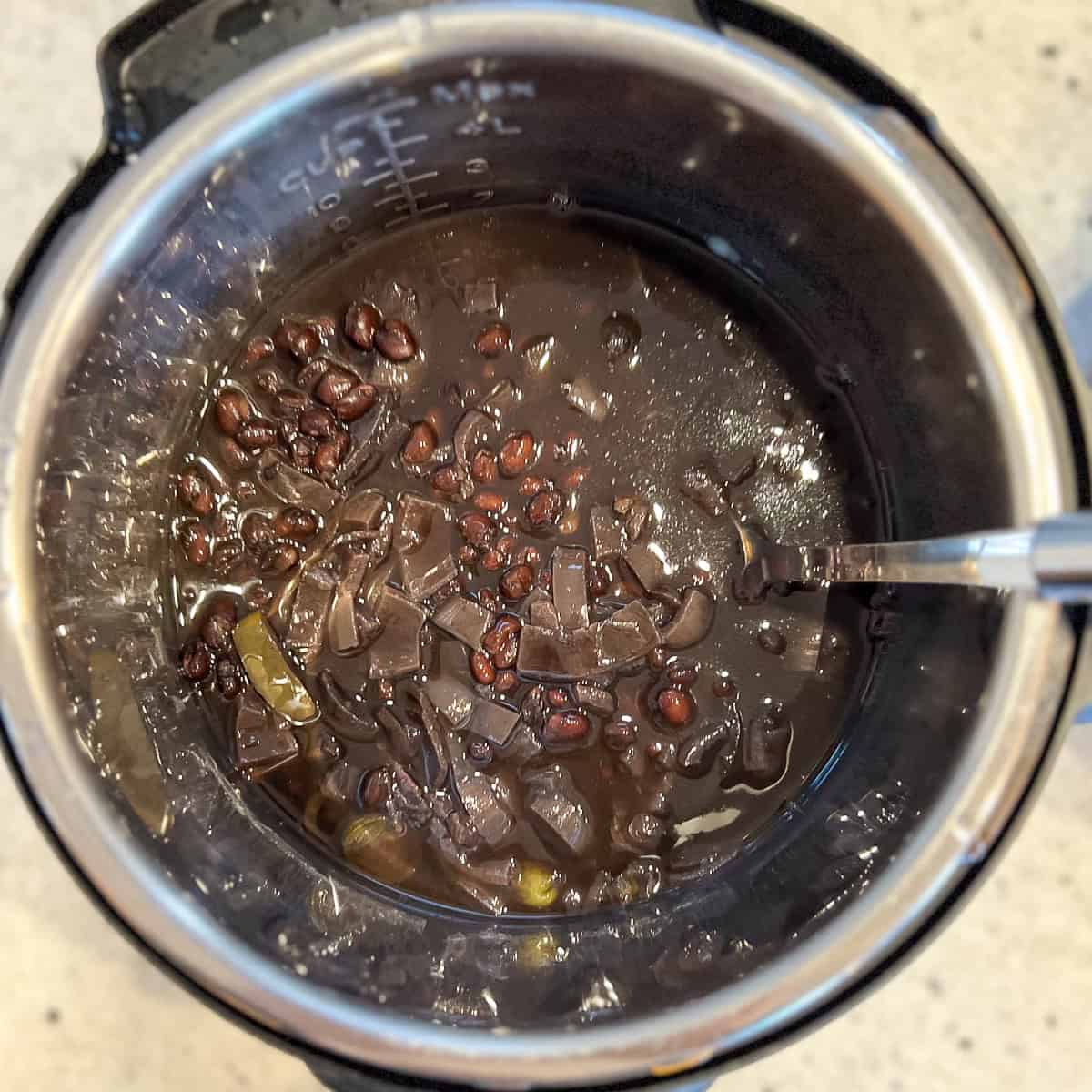 Black beans made in the Instant Pot.