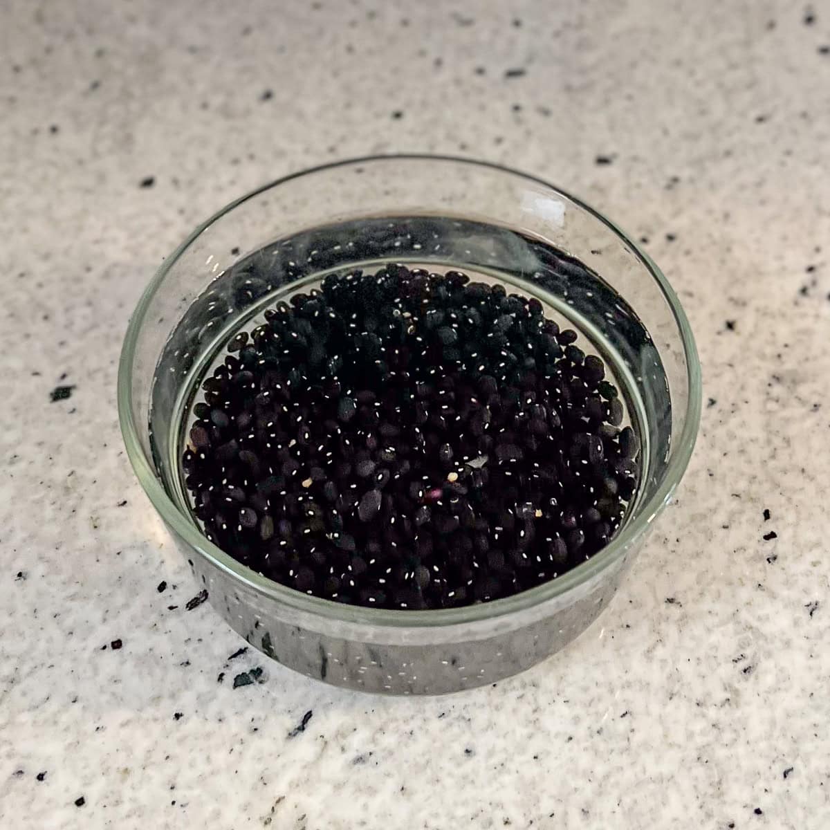 Black beans soaking in water.