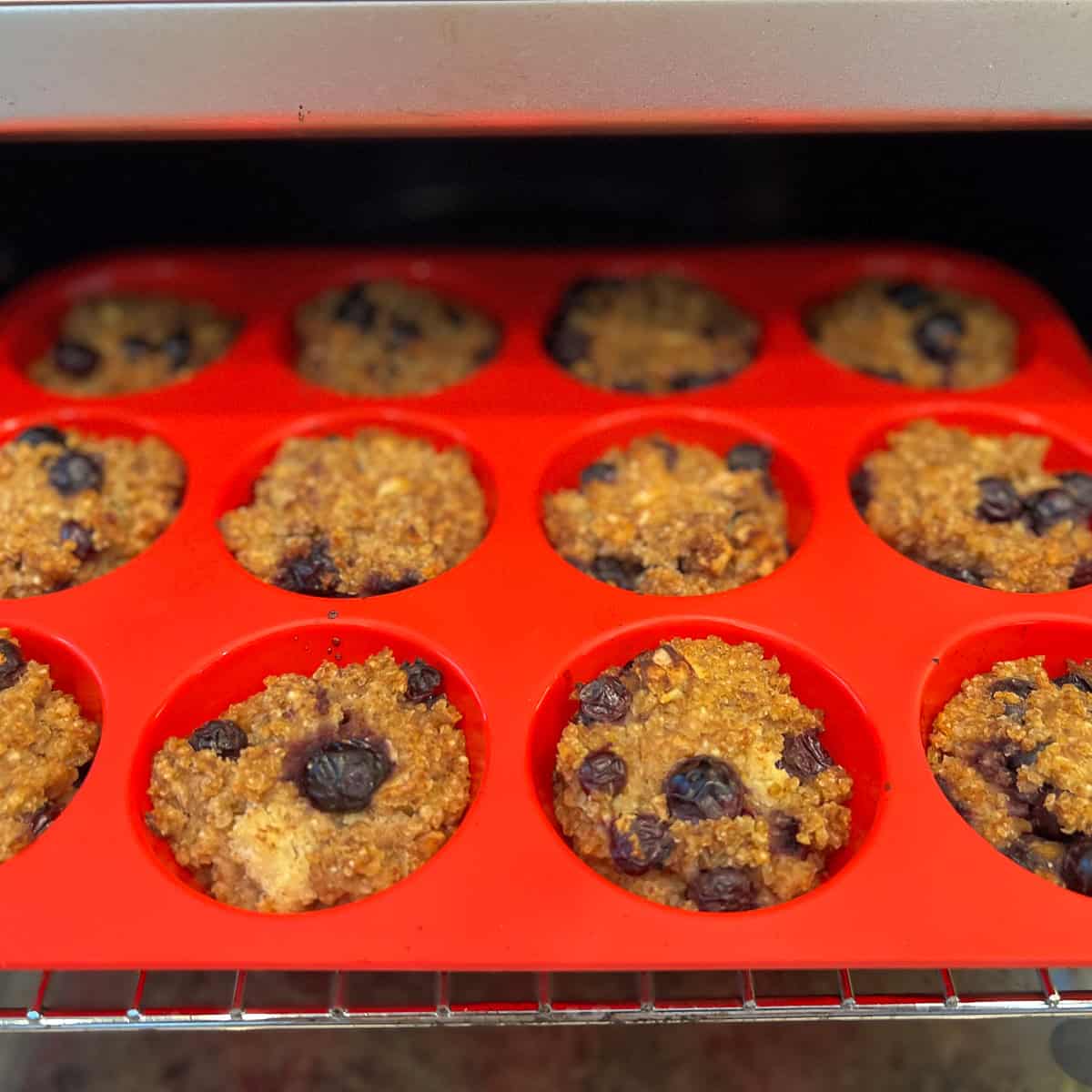 Baked blueberry millet muffins coming out of the oven.