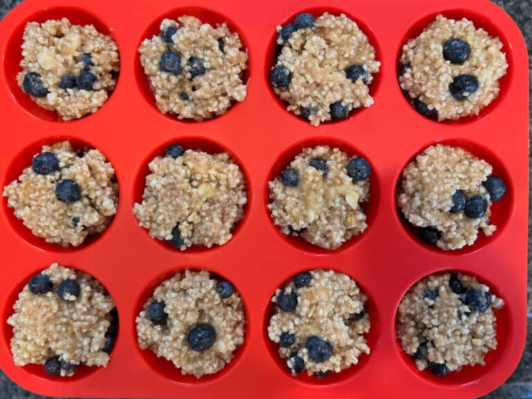 Flourless Blueberry Millet Muffins VEGAN, GLUTEN FREE Daniel's Plate
