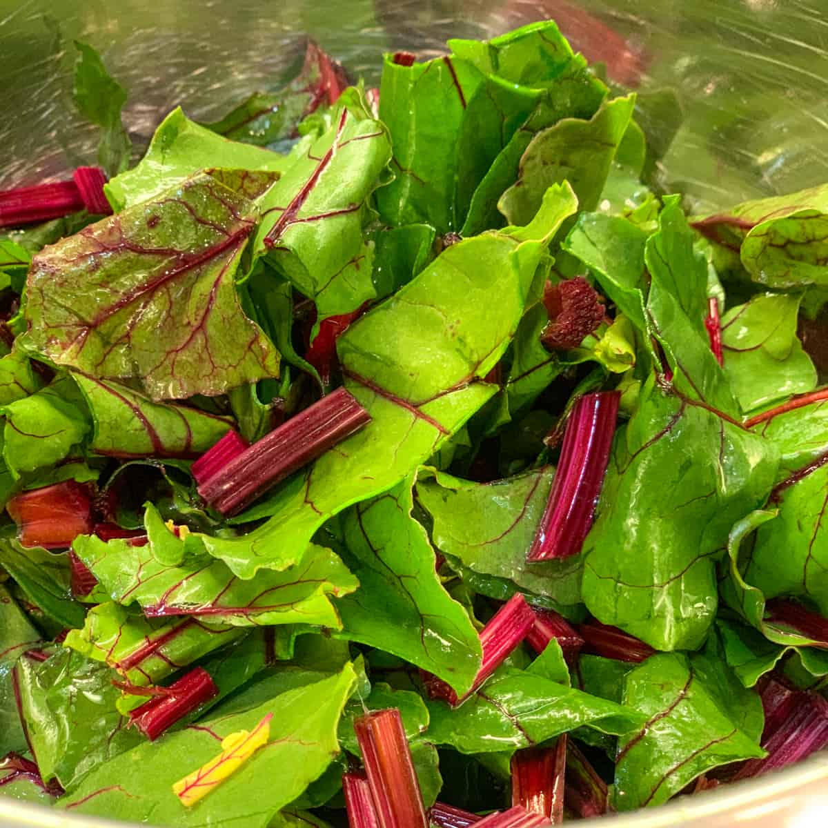 top side view of a pile of chopped beet greens and stems in a a stainless steel bowl