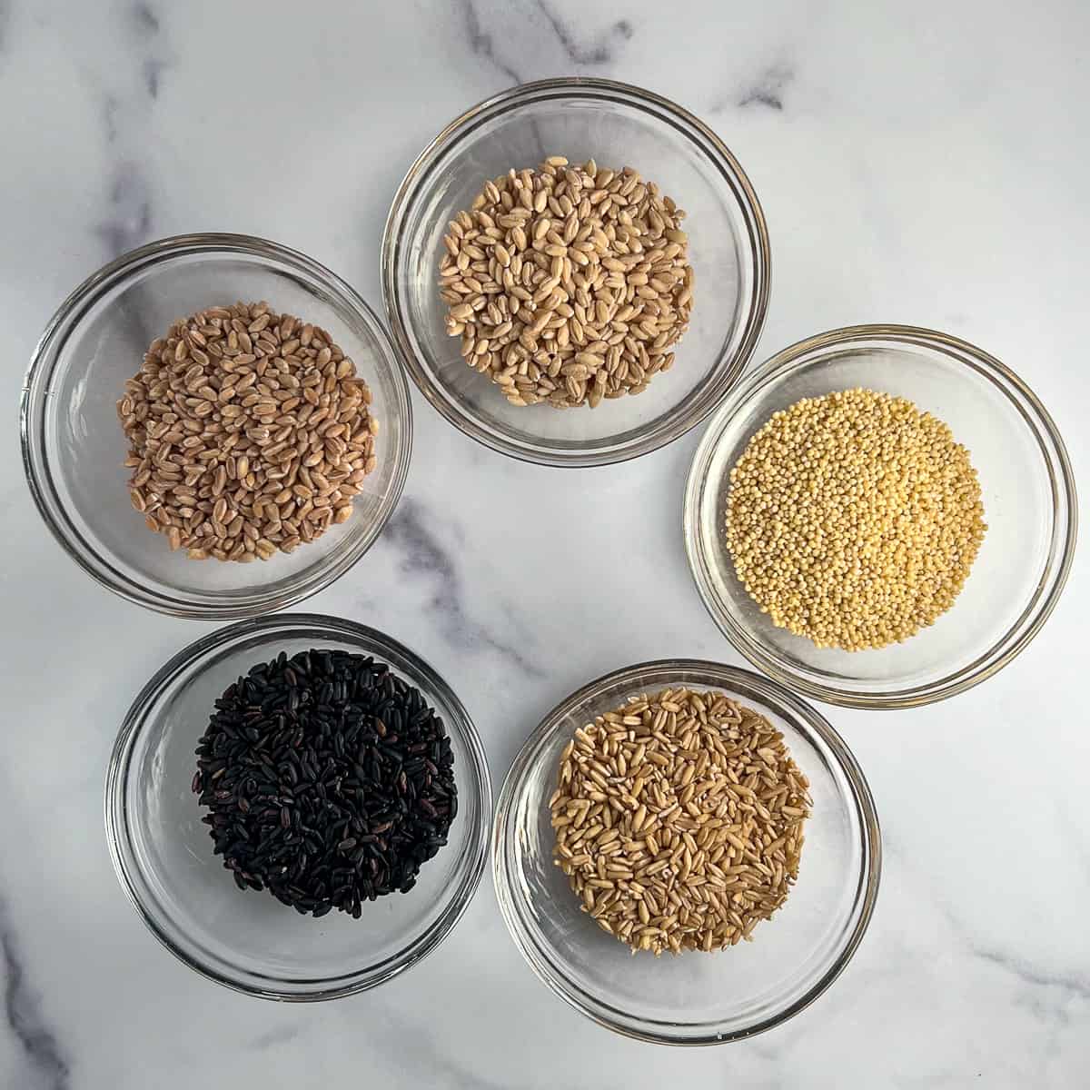 top view of the key ingredients in this ancient grains recipe: oat groats, black rice, barley, farro, and millet
