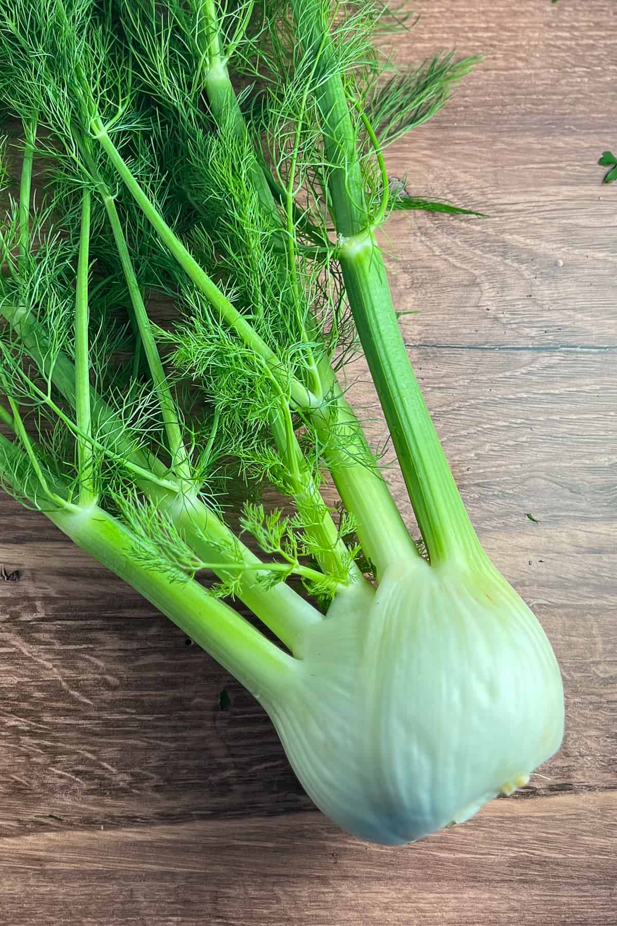 top view of fresh fennel on a wooden surface