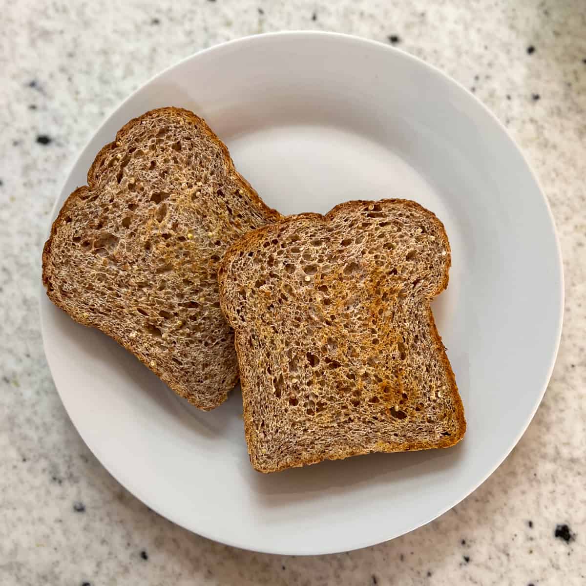 Two slices of toasted sprouted grain bread on a plate.