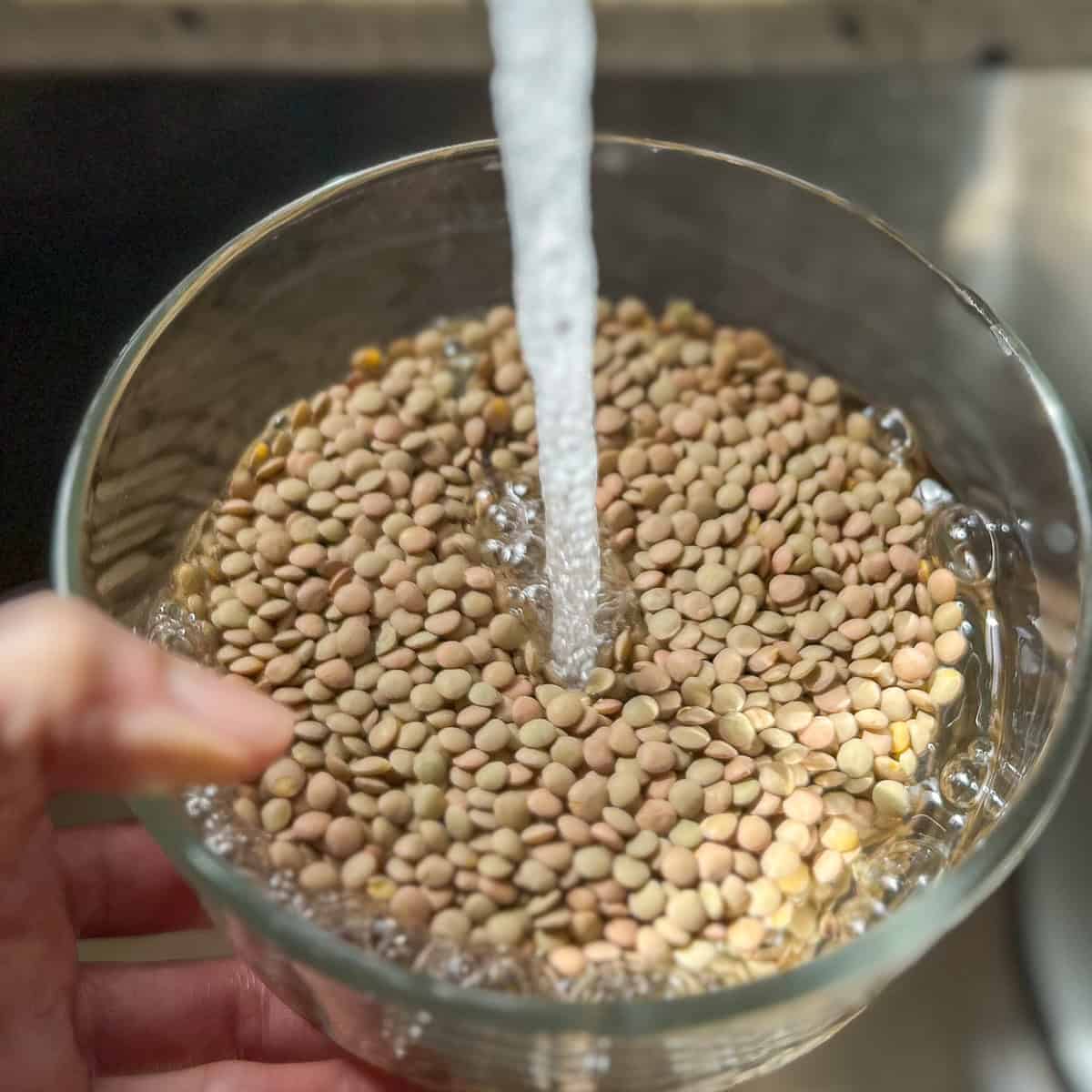 Water being added to a bowl with lentils.