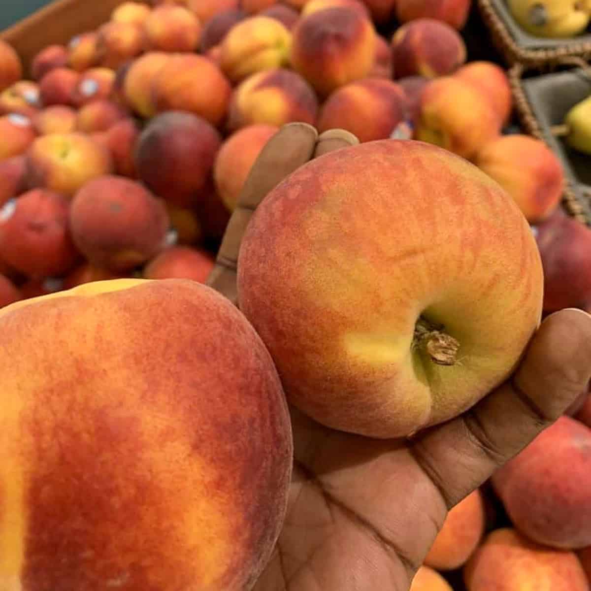 A woman's hand holding two fresh peaches in the foreground with a display of many peaches blurred in the background.