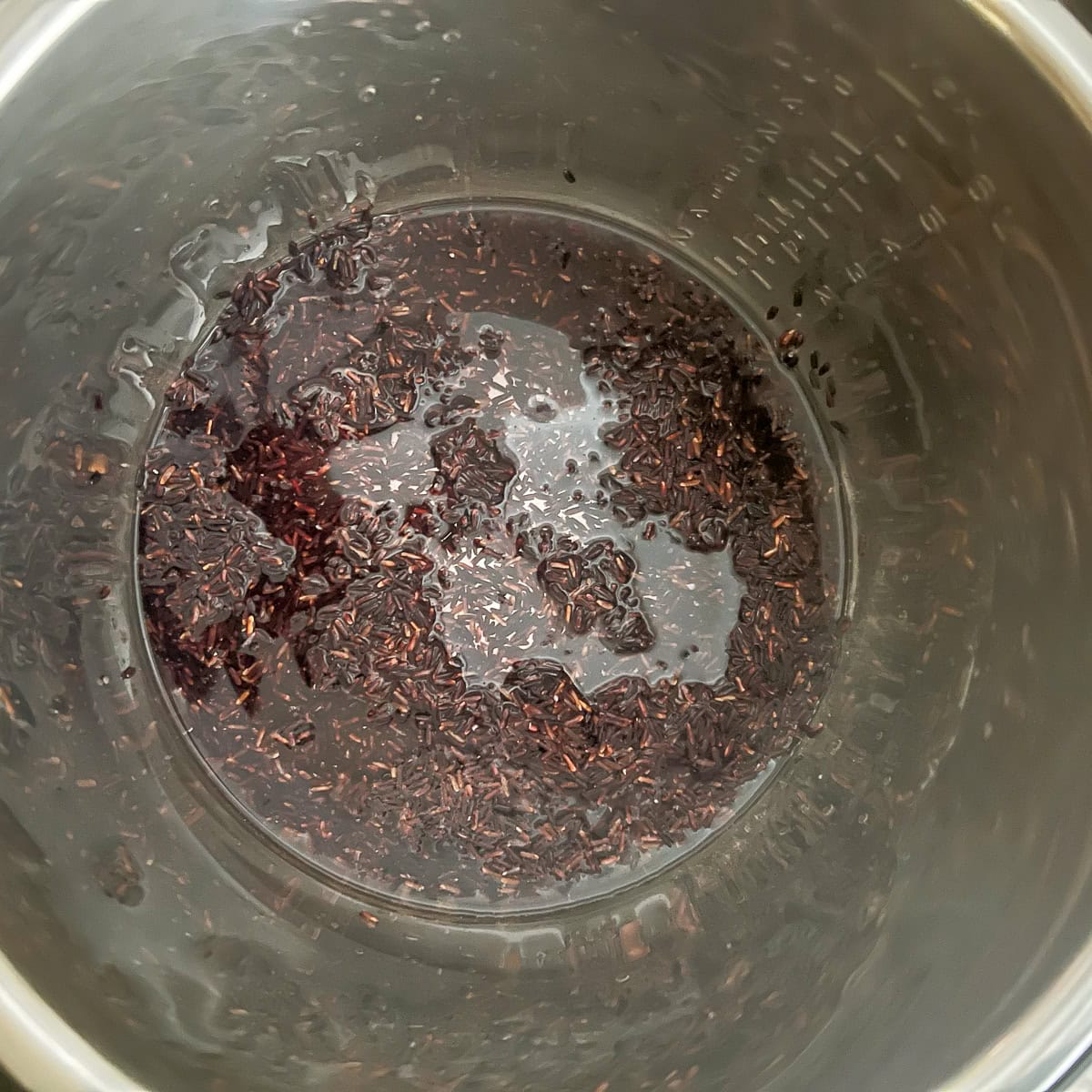 Black rice and water in the instant pot before its been cooked.