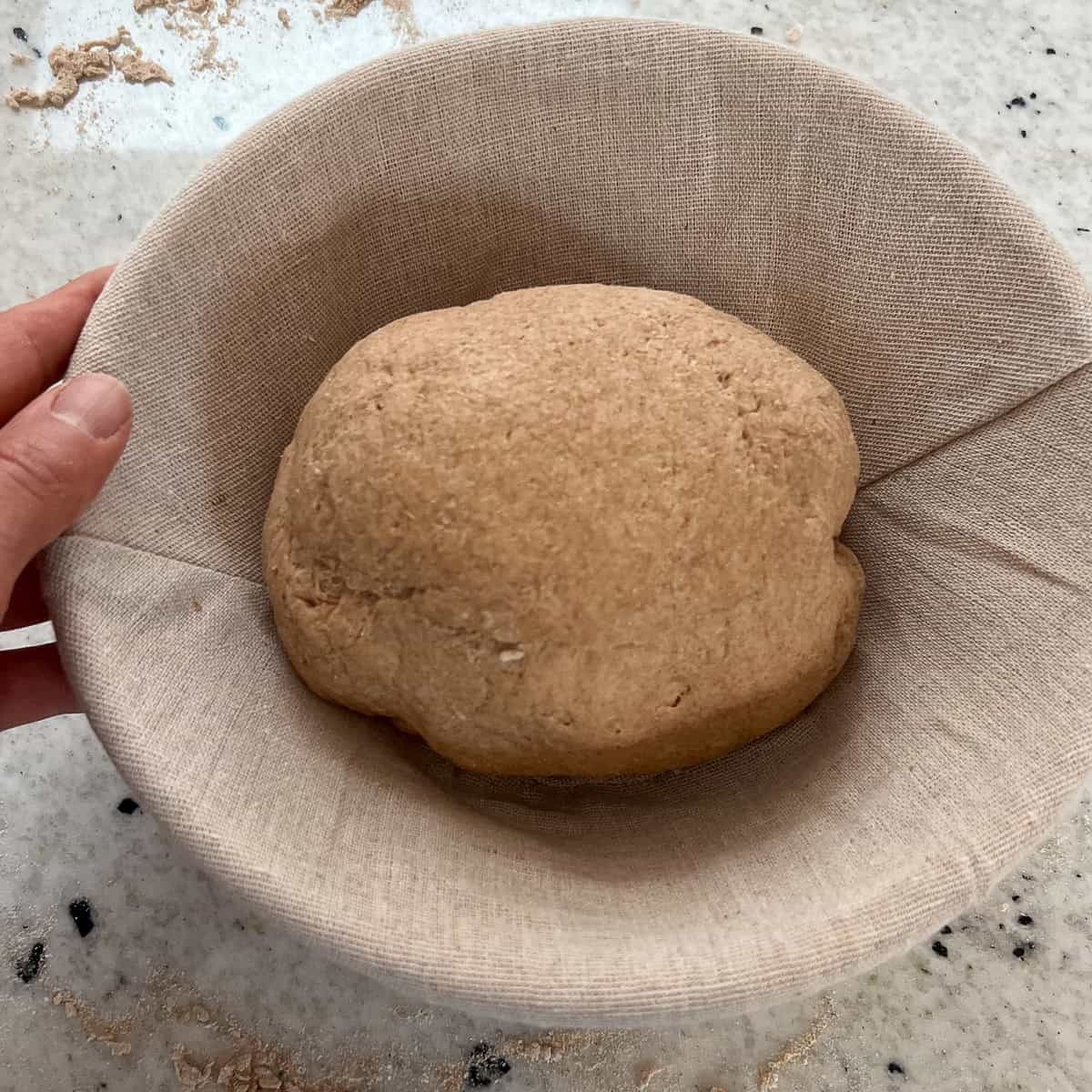 Kneaded dough in a basket ready to be proofed.