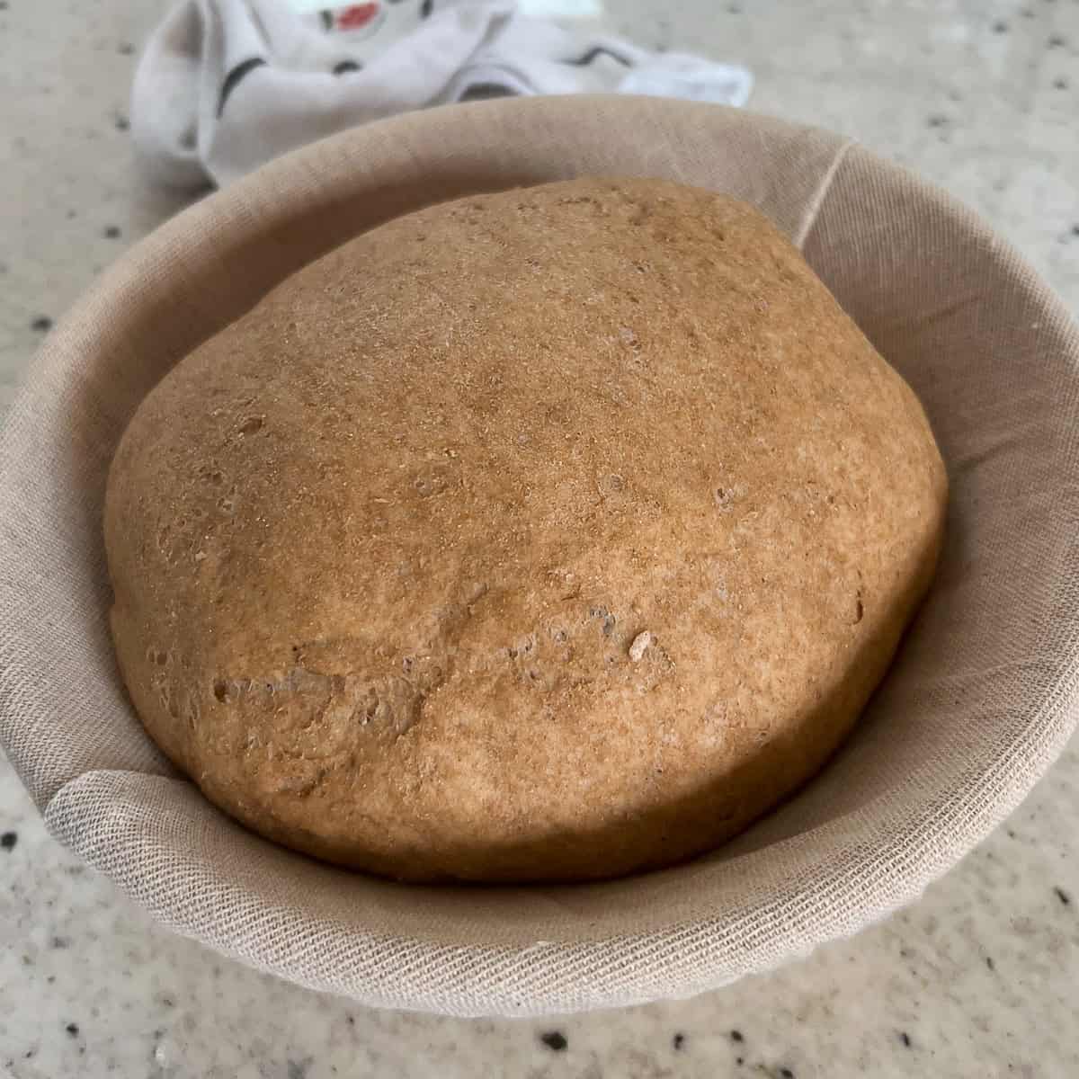 Bagel dough that has risen after proofing.