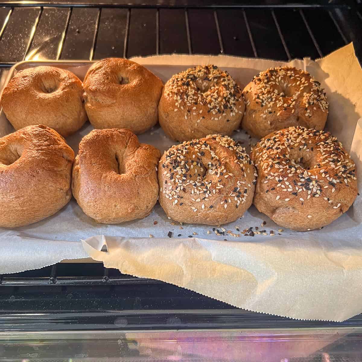 Eight homemade whole wheat bagels that have been baked in the oven and are golden brown; half of them have everything bagel seasoning on them.