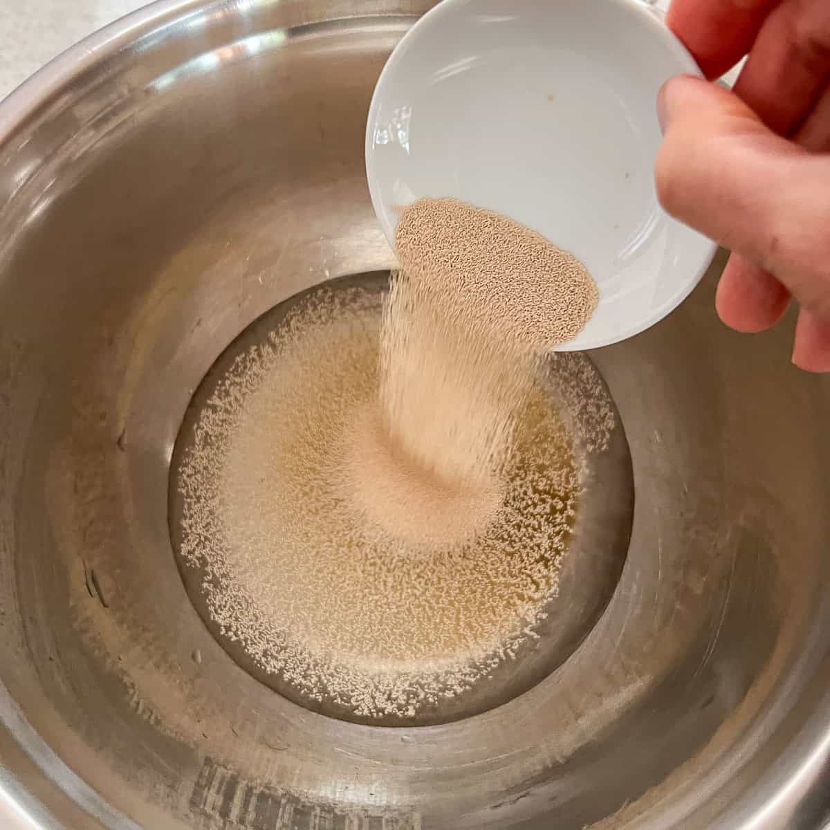 Yeast being added to a bowl with warm water and pure maple syrup.