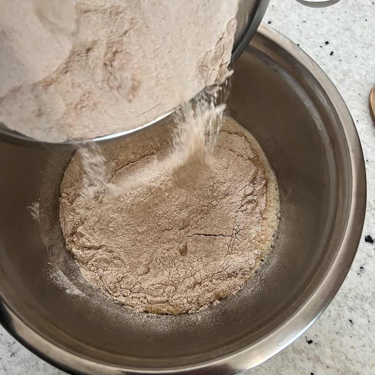 Whole wheat flour and salt being added to the yeast mixture in the mixing bowl.