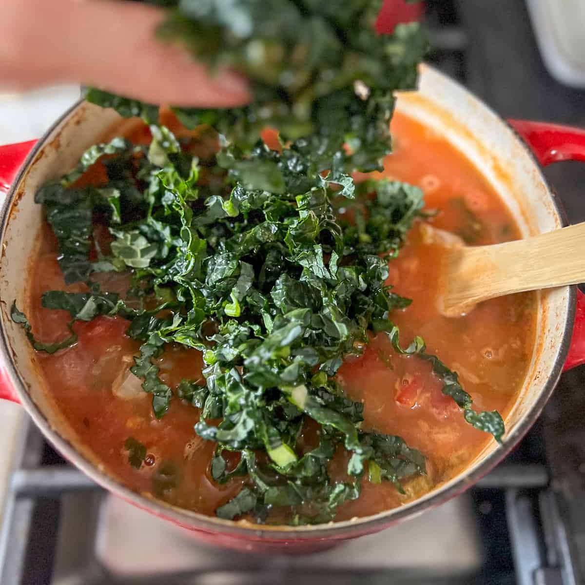 Finely chopped kale being added to the pot.