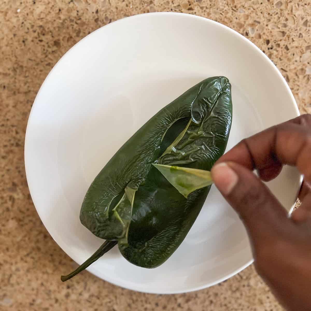 A woman's hand peeling the skin off the roasted and blistered poblano pepper.