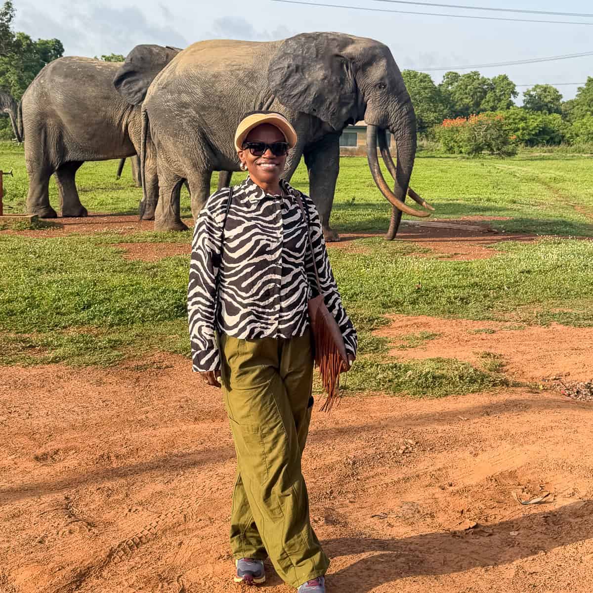 Woman smiling and standing in front of two elephants in Ghana where she discovered kelewele.
