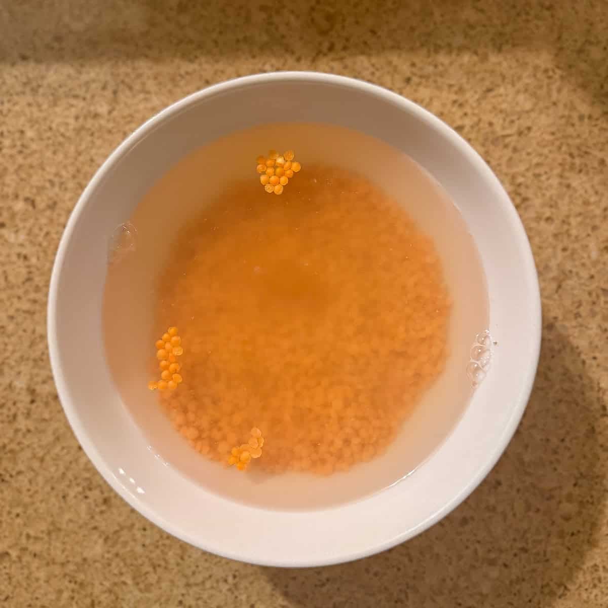 Red lentils soaking in a bowl of water.